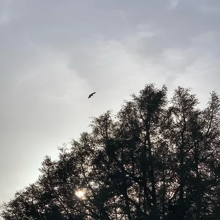 Hotel Carrascas Del Rio Duraton