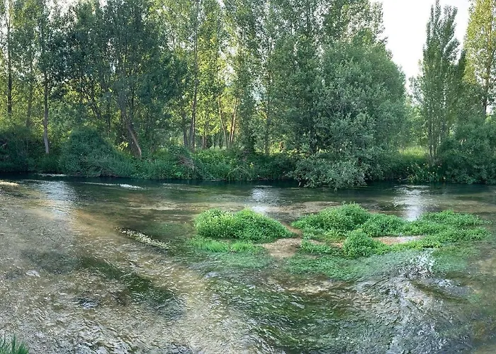 Carrascas Del Rio Duraton * Carrascal del Río