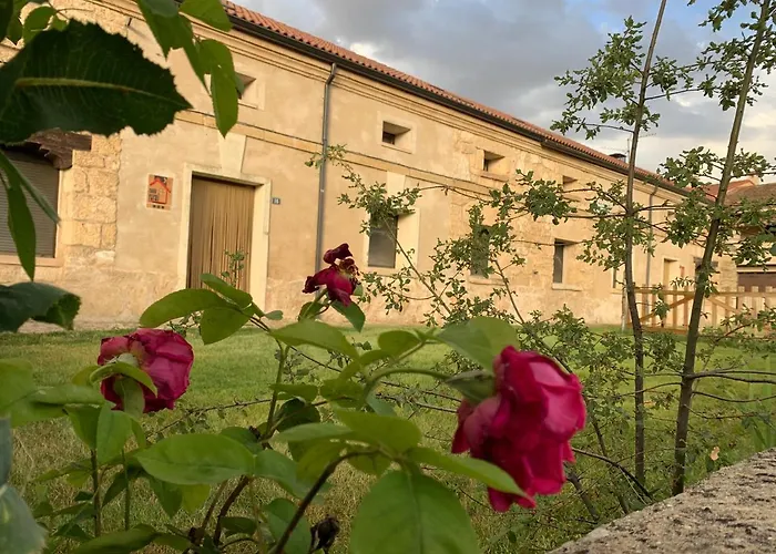 Carrascas Del Rio Duraton Hotel