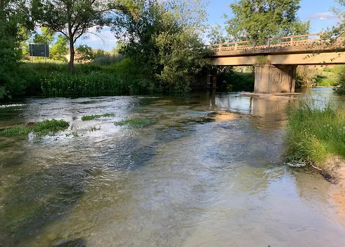 Carrascas Del Rio Duraton Carrascal del Río