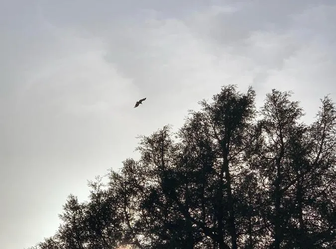 Hotel Carrascas Del Rio Duraton